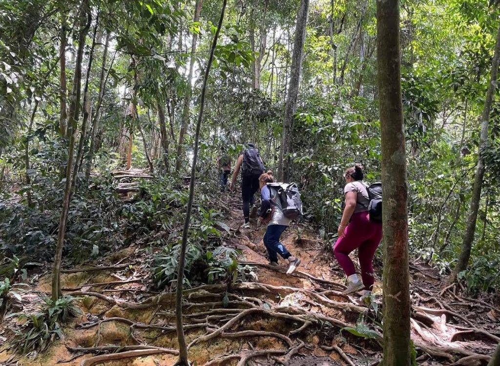 Jungle Trekking Bukit Lawang - Gondrong Tour