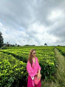 Kebun Teh Sidamanik - Gondrong Tour